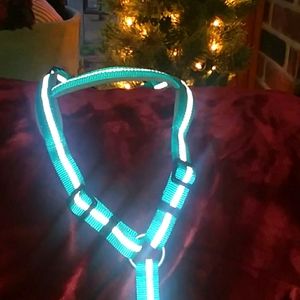 Never used medium dog harness